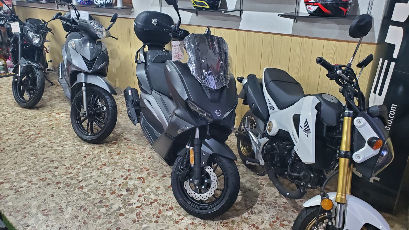 Exposición de Motos y Scooters
